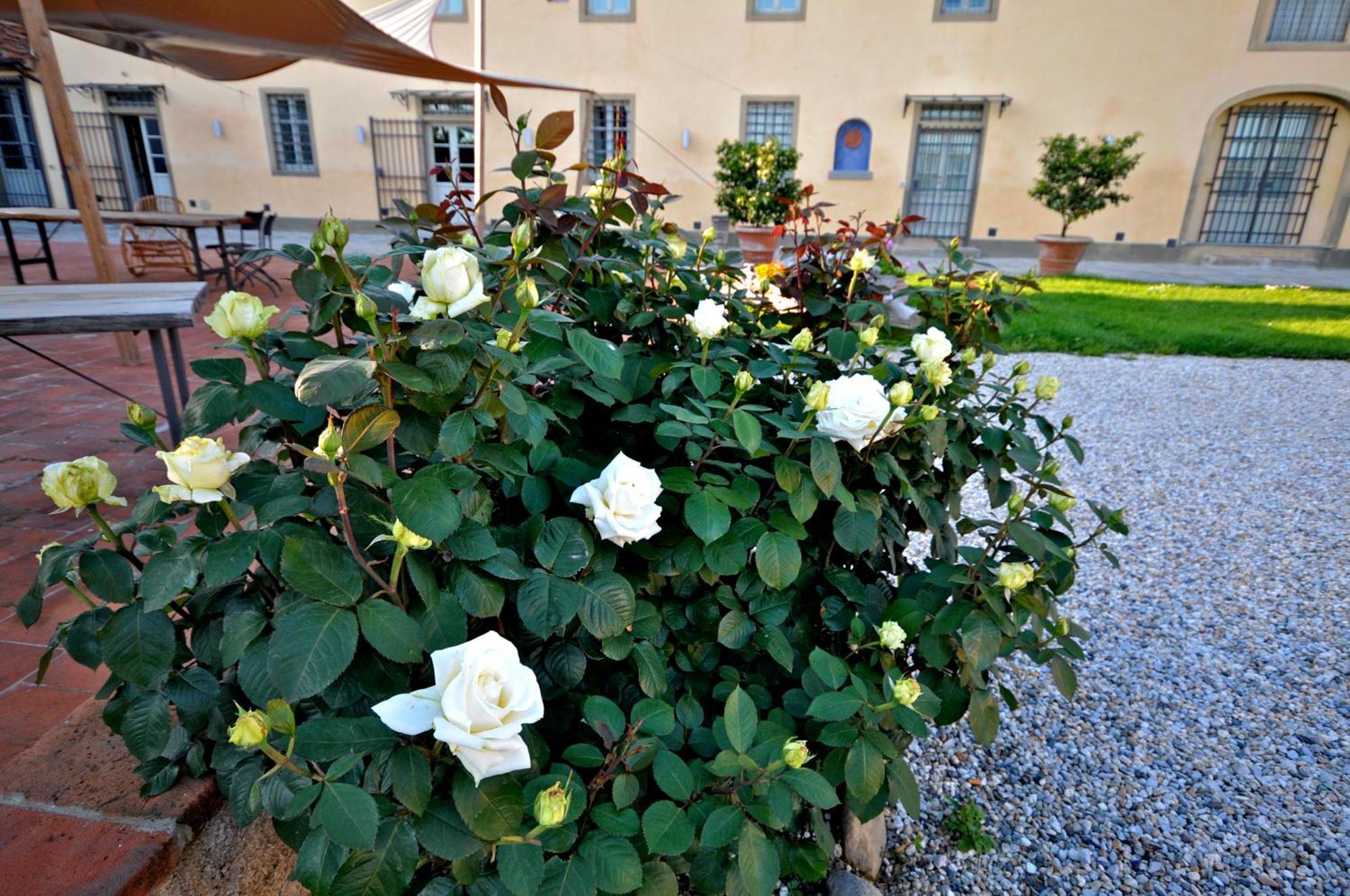 פיסטויה Agriturismo San Rocco מראה חיצוני תמונה
